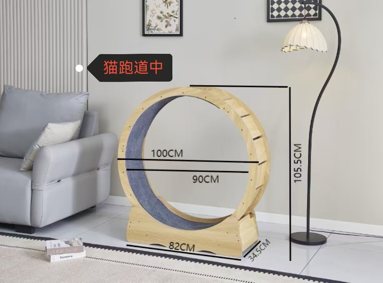 1000 고양이 활주로