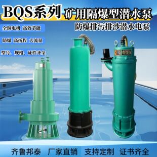 �S��ֱ�NBQS�V����ɳ�� ú�V����BQS37kw�������۱� �����͝�ˮ��