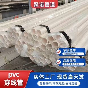 �������apvc������ �����|���o�� 늹��׹� 20�����