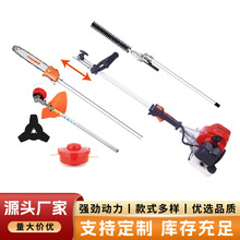 ���͙C��ݙC��֦䏸�֦�޼�朗l�75cm��֦���䏸�֦��^�๦�C