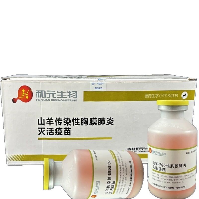 2025-04-25 14:50:35.jpg