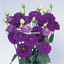 Mذ۹NлNļN׻҃_ֲԻ