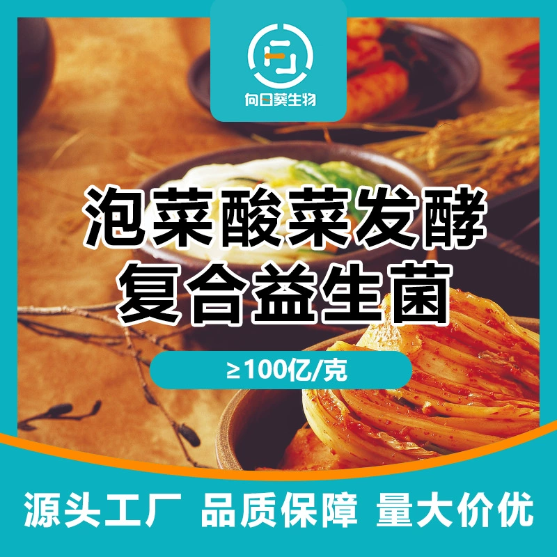 Пробиотики из кимчи, молочнокислые бактерии из квашеной капусты, бактерии для ферментации квашеной капусты, ферментация молочнокислых бактерий из квашеной капусты.