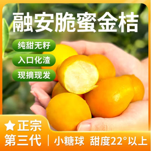 �V���ڰ����۽�̼�����������۽�ۮ���ˮ�����l