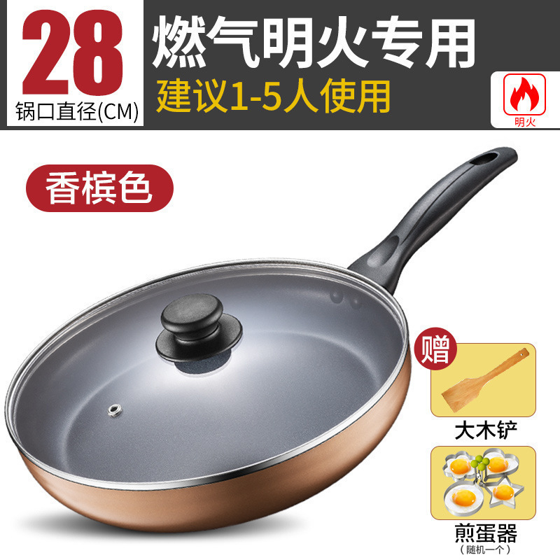 샴페인 골드 가스 (28CM 커버 포함)