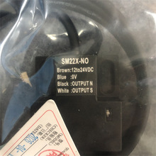 ��SAT������Sm22x-no����늸�ʽ�����ʽ�ȶ�N�z�yԭ��