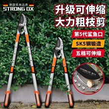 ���M�ڈ@�ֹ��߼���֦��������֦������֦��������ʡ���޼�����