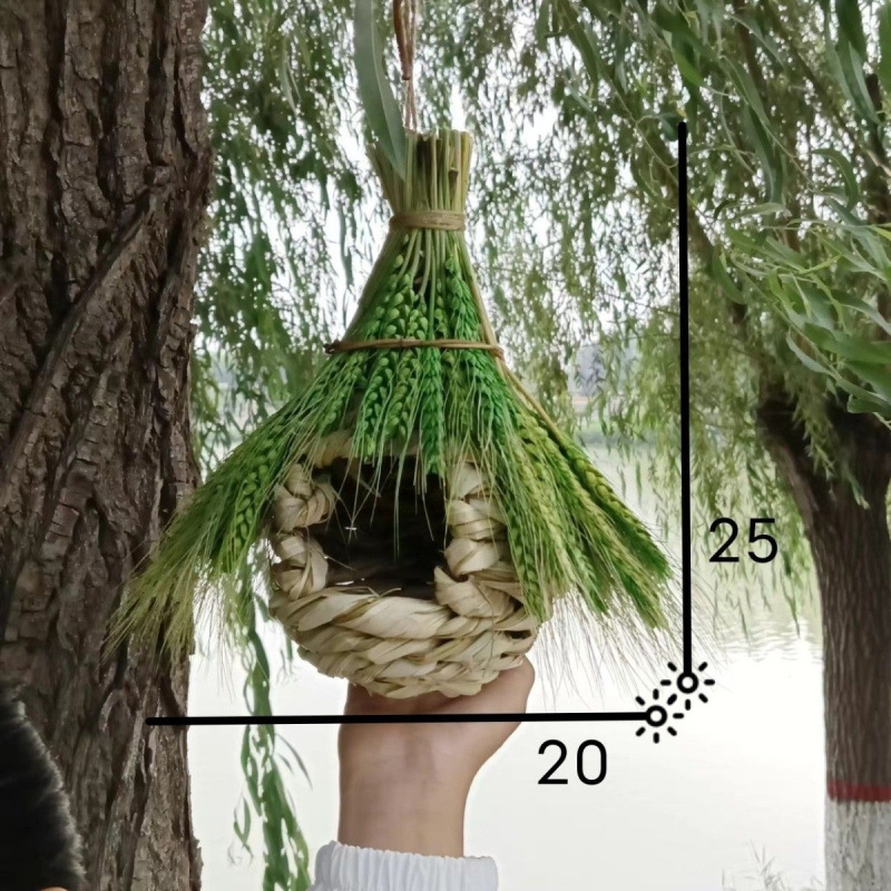 푸른 밀 새 둥지