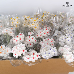 ���_�m�ɻ��¿�ܻ�ˇ�ֹ�diy���Ĳ����b��ٻ��ҾӔ[�����l