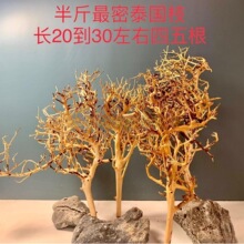 泰国枝造景泰国枝条沉木紫柚莫斯树杜鹃根鱼缸草缸按斤细枝条免煮
