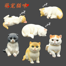 ����؈����ģ�����Ӣ��ë؈�ӷ�؈�۶�؈С؈���ك��J֪�[���Y��