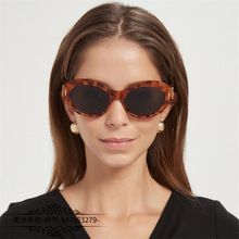�����è��̫���۾�ŷ��INSС����Ů������԰��ī������LW50090