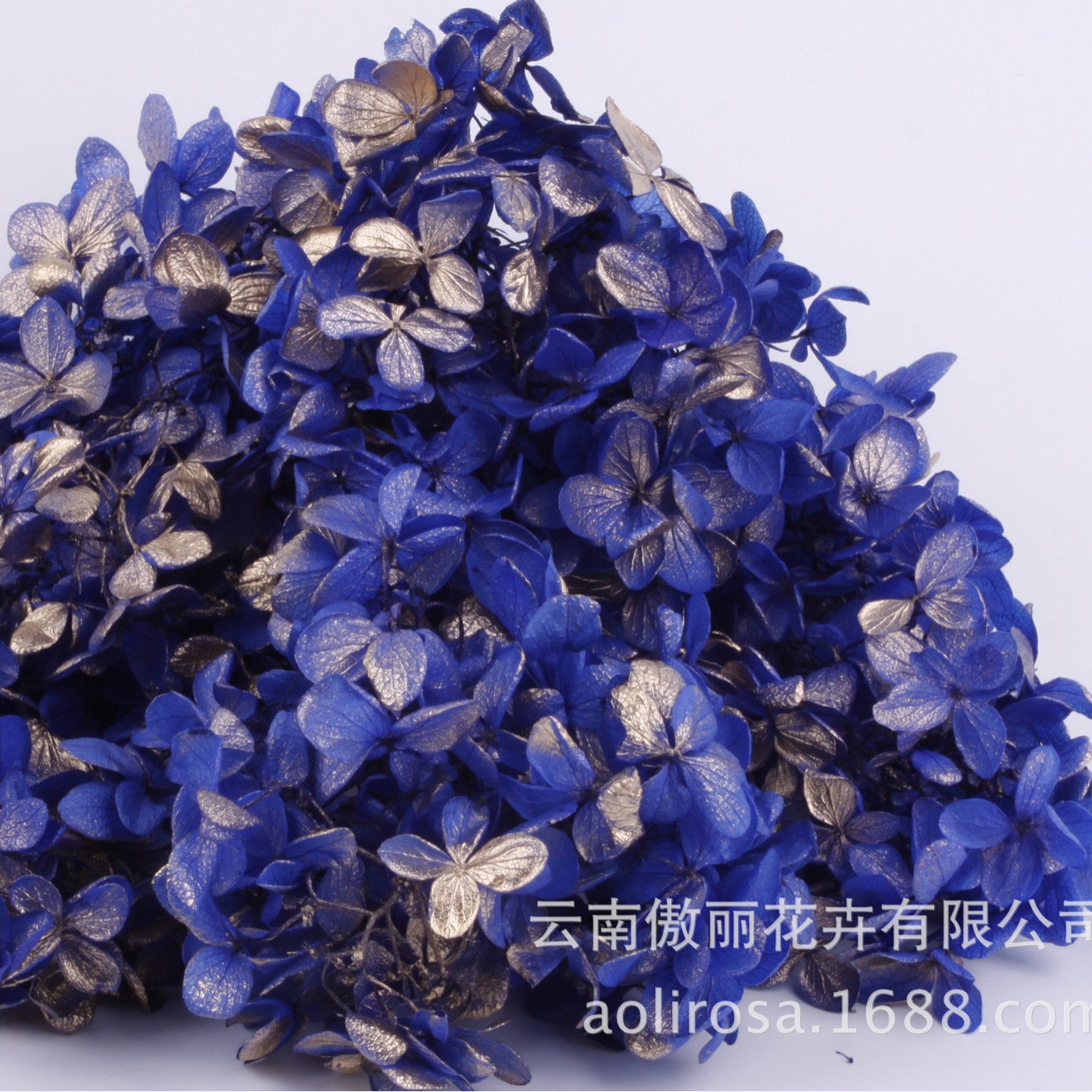 Grado A gradiente de madera Hortensia gradiente Hortensia flor eterna unicornio flor seca Hortensia flor eterna al por mayor