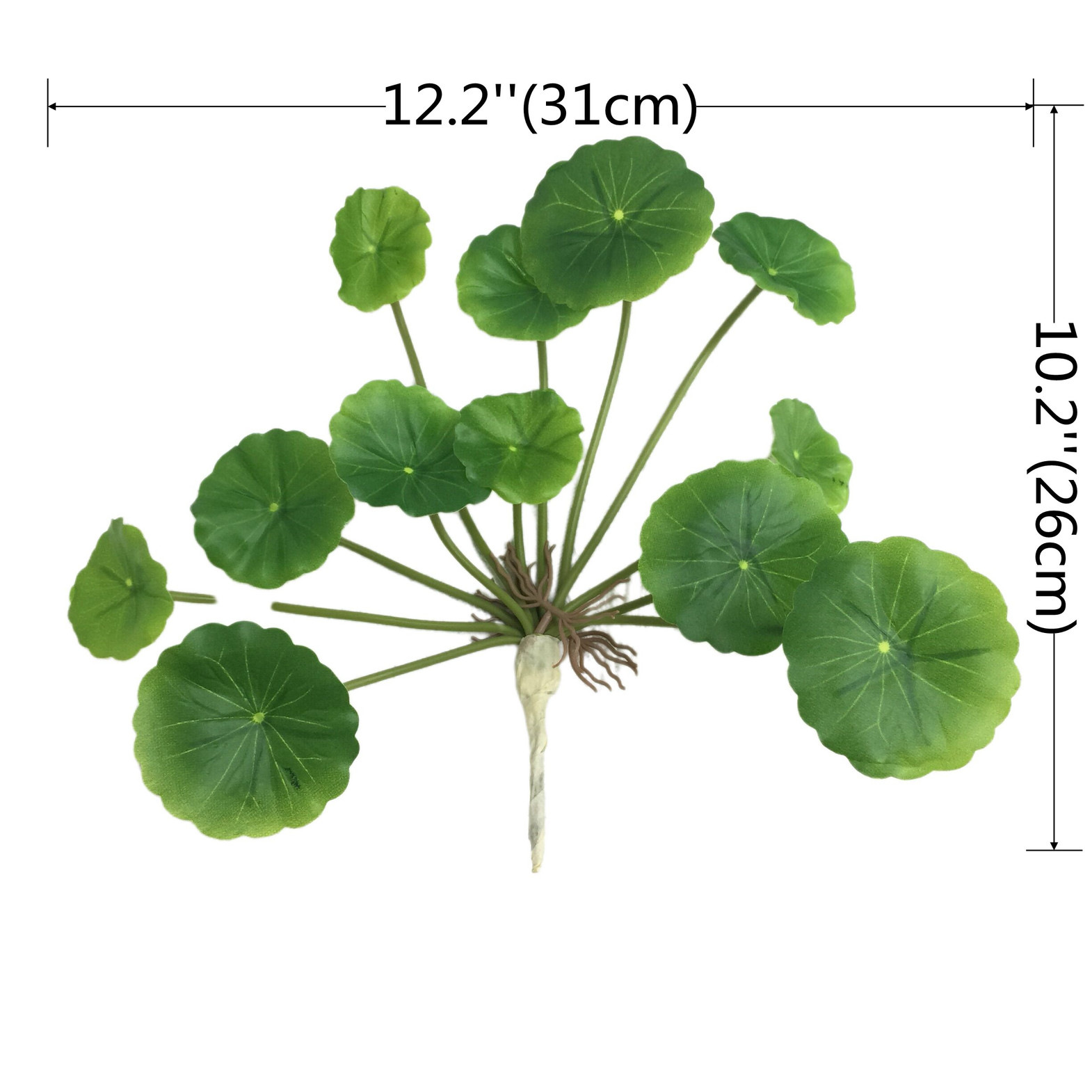 807212(화분에 심지 않음) 게사과잎 12개 (최소주문수량 48개)