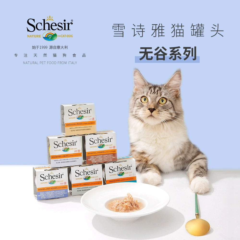 Генеральный агент Китая Schesir Xueshiya No Valley Series Консервированные кошки Первичный источник Оптовая цена