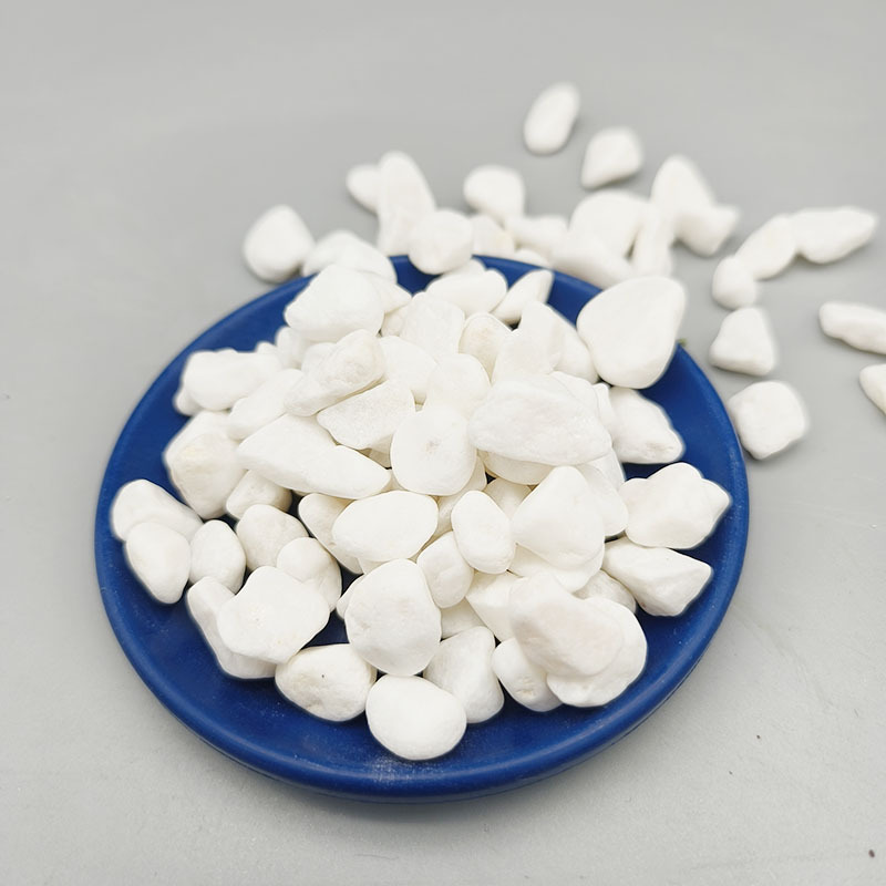 微信图片_202303081055093