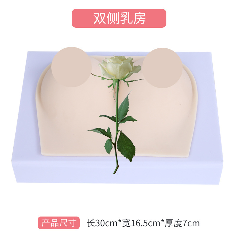 Ů���鷿ģ�� ����ʦ��ѵ���߲����ѧģ�� �轺���鷿 ҽѧ�̾�