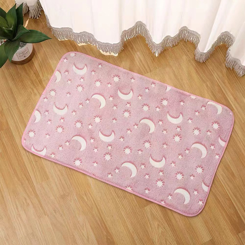 Luminous cross-border pvc carpet wholesale bathroom door bathroom household toilet non-slip foot mat manufacturers supply