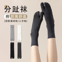 ��ɫ��ֺ����Ů���ı����˶���ֺ���ֺ��������������ֺ��Ͳ����