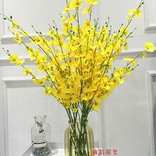 ��ɫ����������滨�ٻ����ϻ��ҾӲ������ӹ�輸�칫װ�ΰڼ�