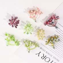 ����Gֲˮ�����diy�ֹ����w�Ҿ��b������������ˮ���b[��