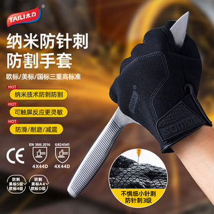 TAILI/̫�����̷������׷��o���������̷�ᘴ̷������и����׬F؛