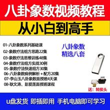 中医象数疗法视频教程u盘李玉山念数字中医彭爱莲耿文涛面授班课