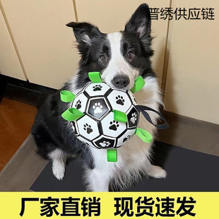 ��߹�����ҧ�␞�»�ȮС����Ȯ���ӌ�������l���l���羳
