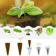 �o������Nֲ����̿�d���d����ֲ��Nֲ�{�I�B��50���ӷNֲ�{50��