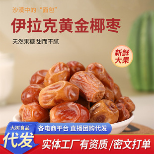 ���lɳ���SҬ���������ۗ������l500g�ϰ�ɳĮ������S��Ҭ����