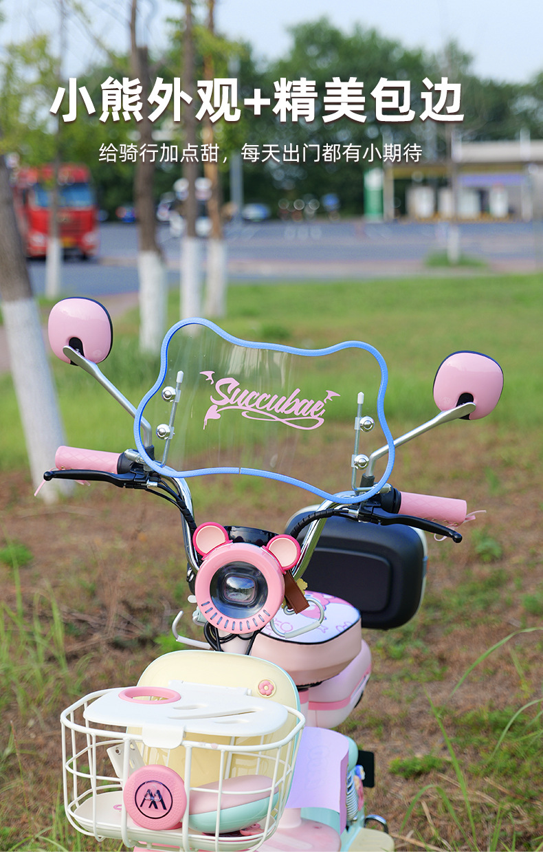 Windshield for Electric Vehicle Emma, Yadea Retro, Front Windshield