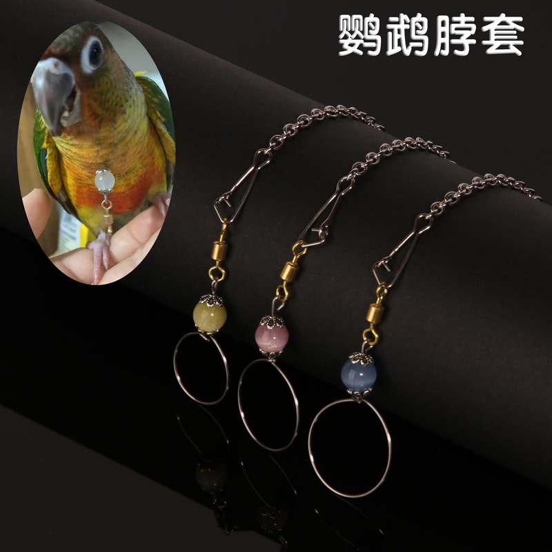 Big Brother tiger skin bird collar peony Xuanfeng parrot collar stainless steel bird chain bird training utensils supplies live buckle