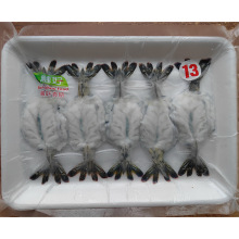 刺身虎虾蝴蝶虾寿司材料刺身虎虾小虎虾13g*10尾/板即食黑虎虾