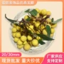 仿真定制桂圆假水果模型