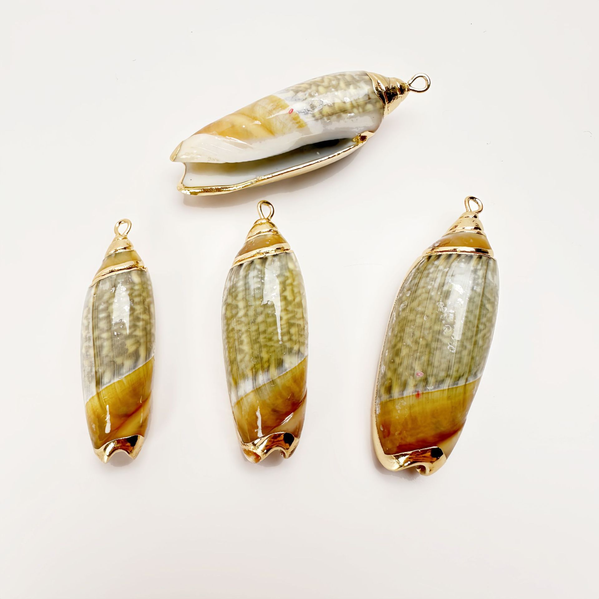 녹색 매미 달팽이 10마리