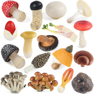 �羳����Ģ���㹽���ģ�Ͱ׶��Z����漧�������p�U�����K��[��