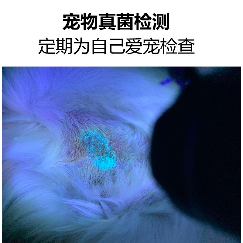 Currency detection UV lamp, anti-blue light test, fluorescence detection, multi-function currency detection lamp, UV purple light test lamp