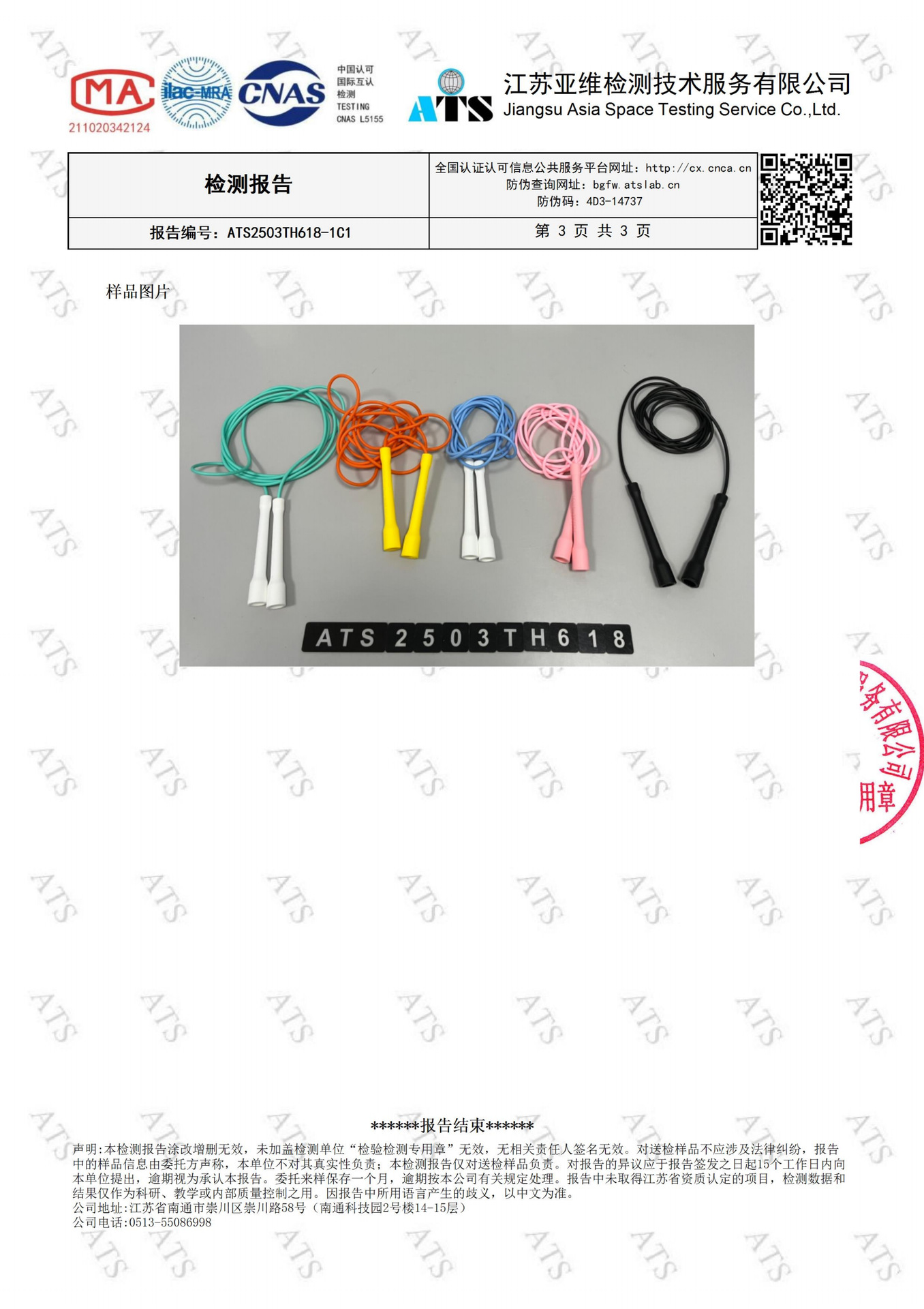 TS-31检测报告_02