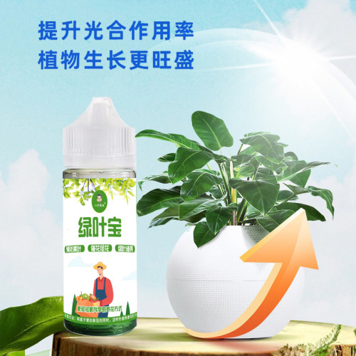 The manufacturer supplies eight old man Green Leaf Treasure plant universal nutritional liquid chlorophyll green plant foliar fertilizer