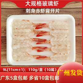 刺身赤虾背开片火焰虾阿根廷红虾玻璃虾冷冻寿司食材料理海鲜水产