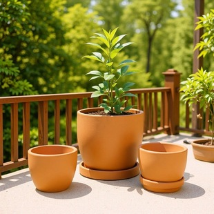 �t�ջ�����⻨�豱�W�L��ɫ�A��͸�������մ����⻨��