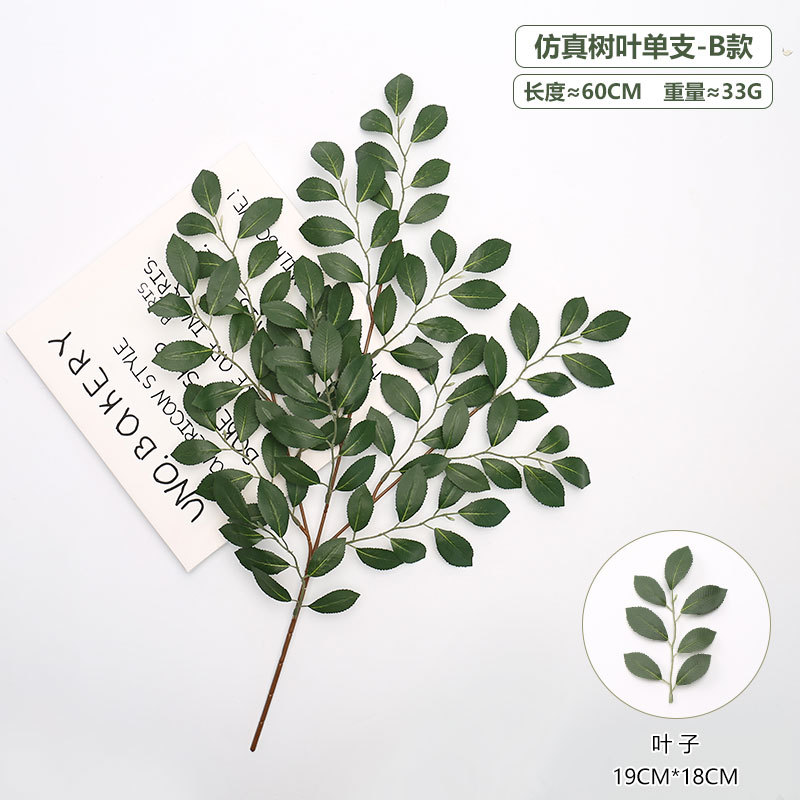 Hoja de camelia sola-verde oscuro