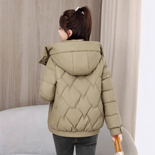 2025���¿���q�޷�Ůʿ�������׼Ӻ�̿�����С���ӌ������\