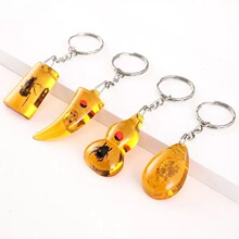 真昆虫标本琥珀汽车包钥匙挂件直播货源跨境专供饰品哪吒钥匙扣