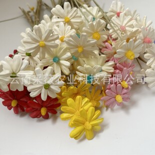 �����ӻ����ֹ��ɻ�С�r�շ��滨���Ҿ��b�ins�L�[��DIY���ϻ�ˇ