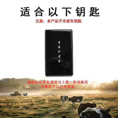 Control Key Bag, Car key bag