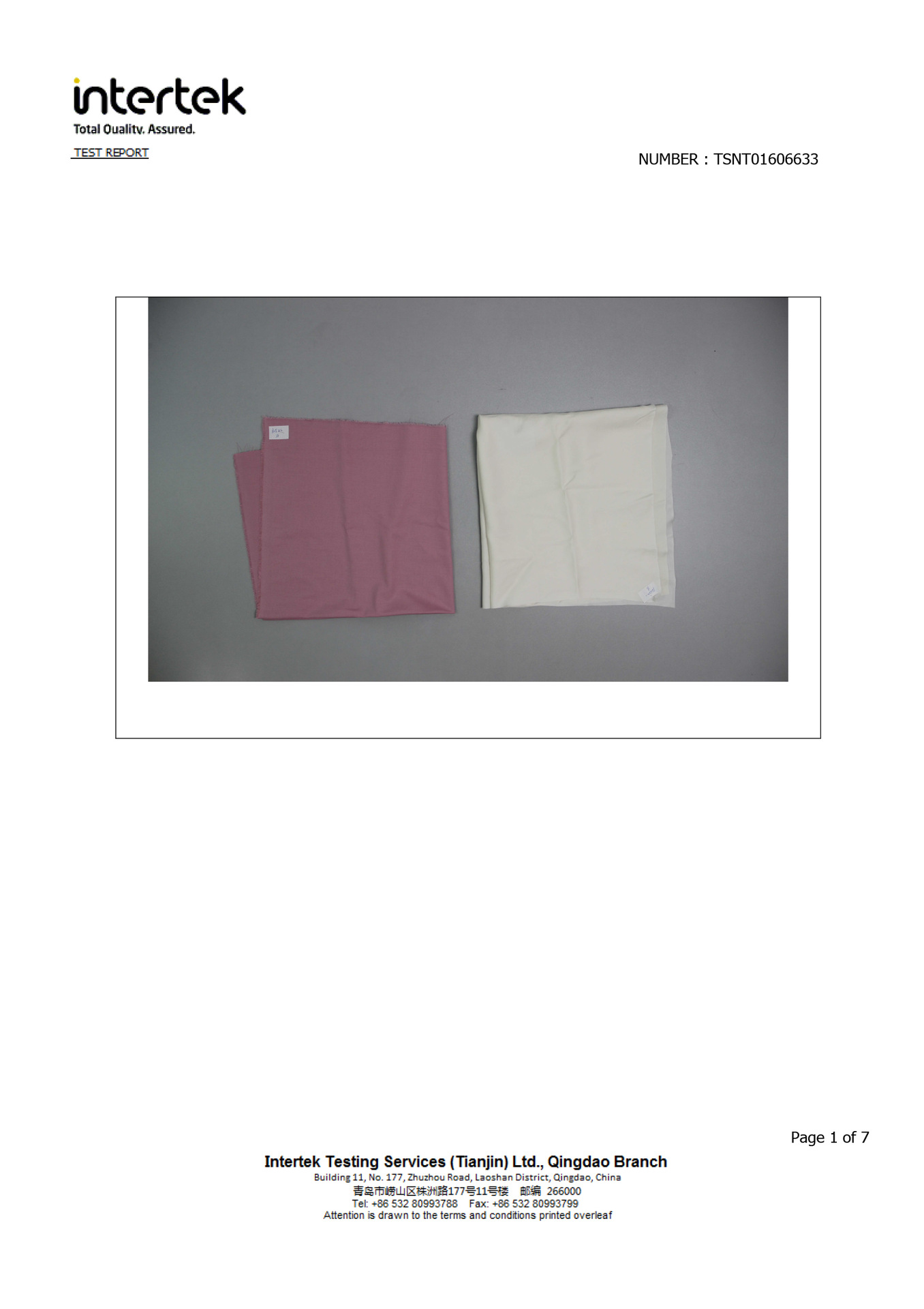 TSNT01606633(1)-1