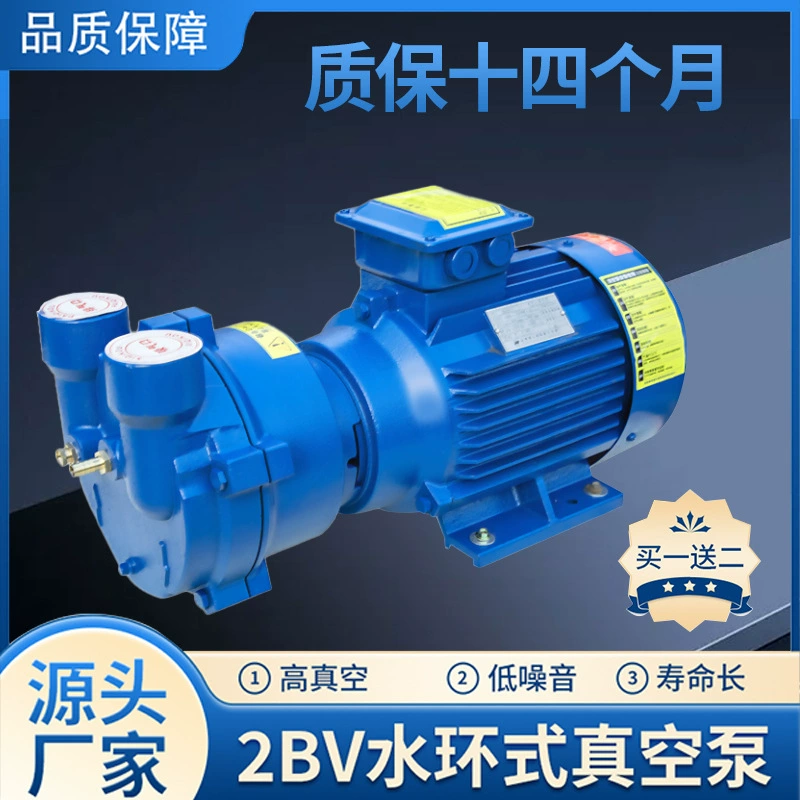 2bv водокольцевой вакуумный насос промышленный воздушный насос высоковакуумный вакуумный насос с циркуляцией воды устойчивость к коррозии материковый Китай