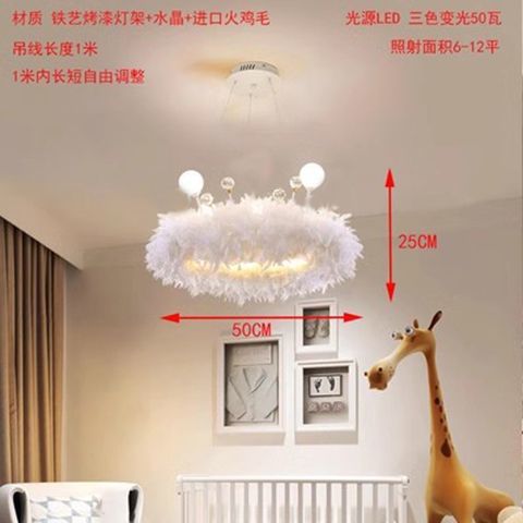 깃털 크리스탈 크라운 50CM60W