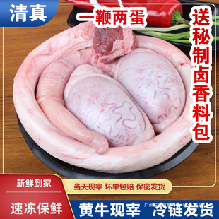 ����F���Sţ��ȫ��ţ�s���r�ك���ֻţ���������ش�̖ţ��ţ��